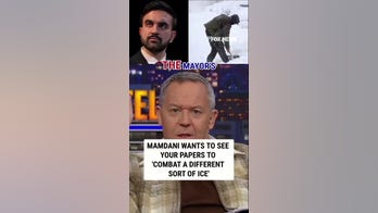 Mamdani wants to see your papers to 'combat a different sort of ICE'