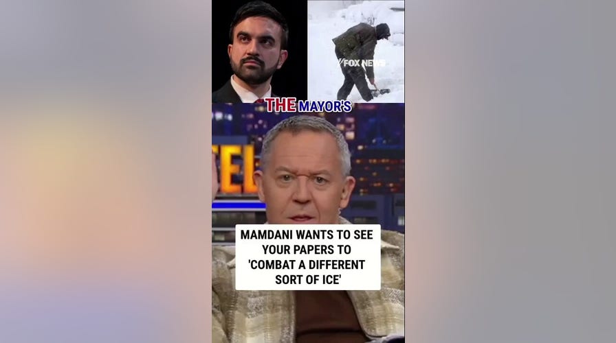 Mamdani wants to see your papers to 'combat a different sort of ICE'