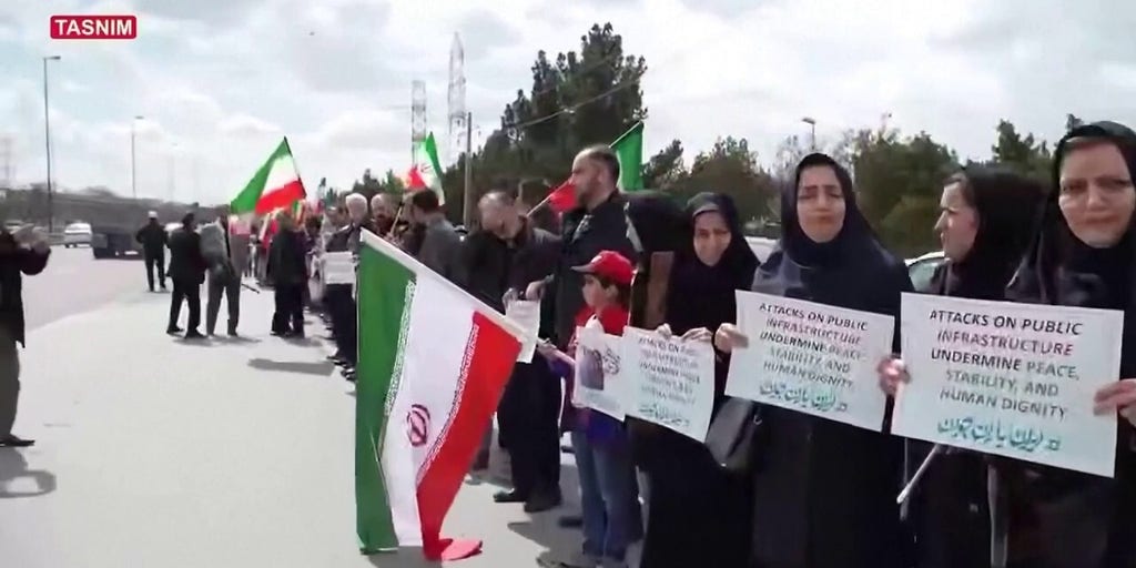 Iranians form human chains around power plants