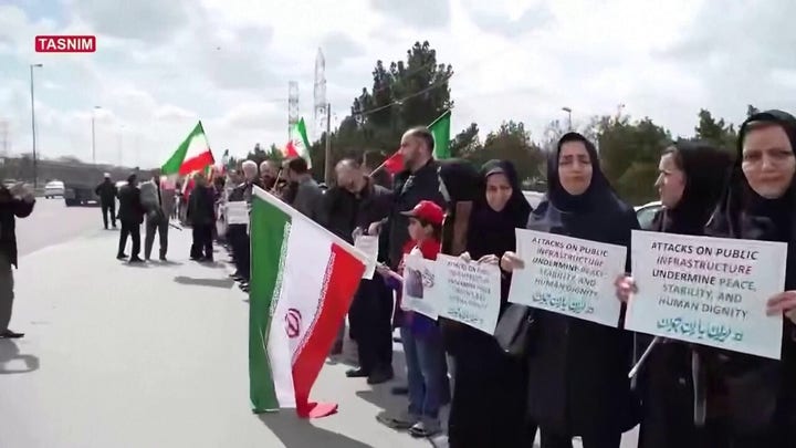 Iranians form human chains around power plants
