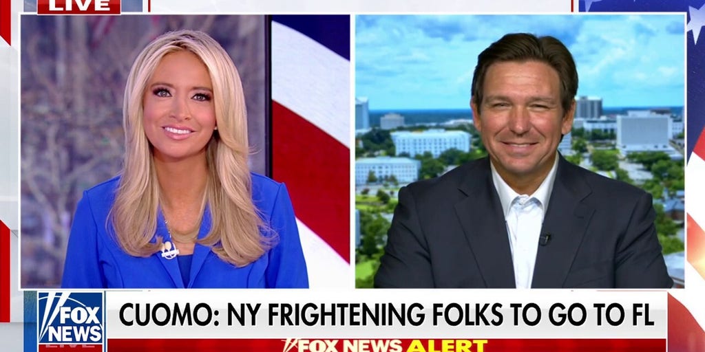 DeSantis says Mamdani's policies will be 'devastating' for New York City: 'It won't work'