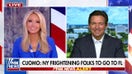 DeSantis says Mamdani's policies will be 'devastating' for New York City: 'It won't work'