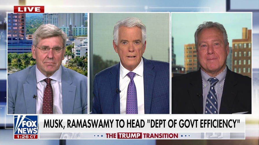 Former Obama economic adviser is ‘all for’ Musk, Ramaswamy heading government efficiency unit DOGE