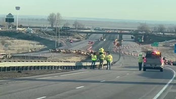 Elk crossing: See the herd that closed an Idaho highway