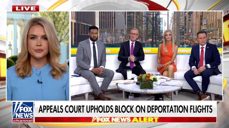 Karoline Leavitt touts arrest of MS-13 leader, calls out Democrats for 'insane' position on deportations