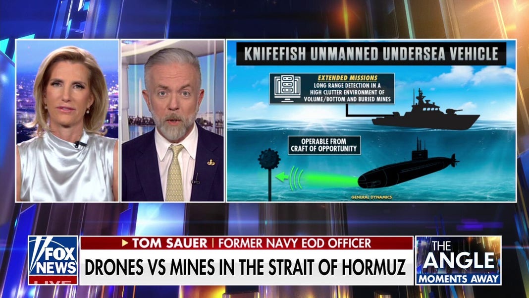 Advanced unmanned underwater vehicles deployed in Strait of Hormuz to detect, disable mines