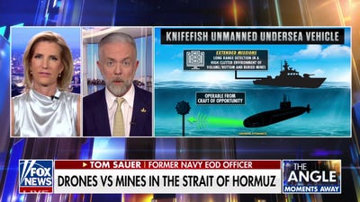 Advanced unmanned underwater vehicles deployed in Strait of Hormuz to detect, disable mines