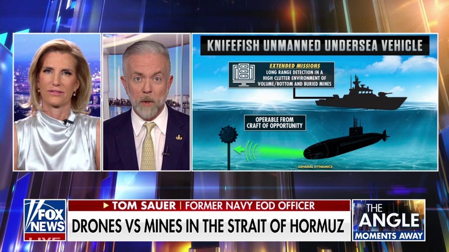 Advanced unmanned underwater vehicles deployed in Strait of Hormuz to detect, disable mines