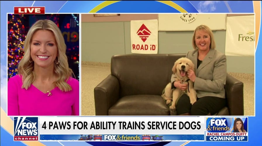 4 Paws For Ability supporting veterans and children with disabilities