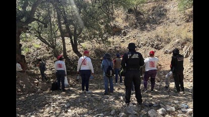 Search underway for Nancy Guthrie's remains following anonymous tip