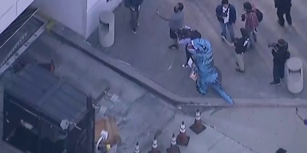Anti-ICE riots break out in Los Angeles
