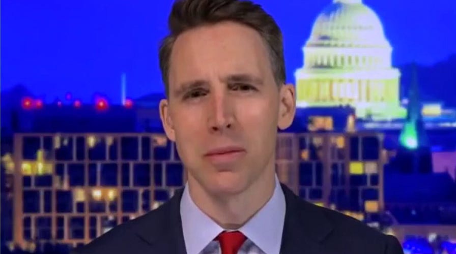 Hawley: Democrats want big corporations to act as 'the hand of government'