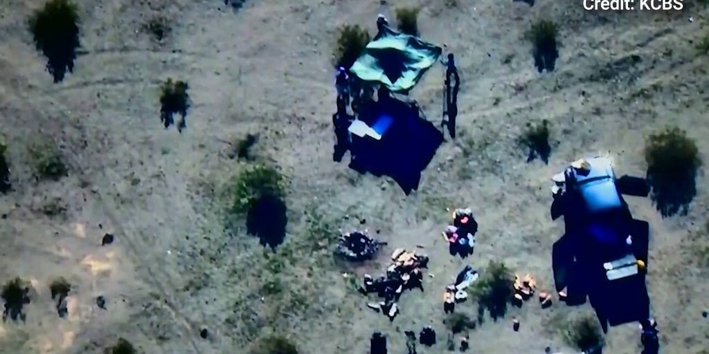 Authorities announce arrests of 4 alleged members of radical pro-Palestinian group