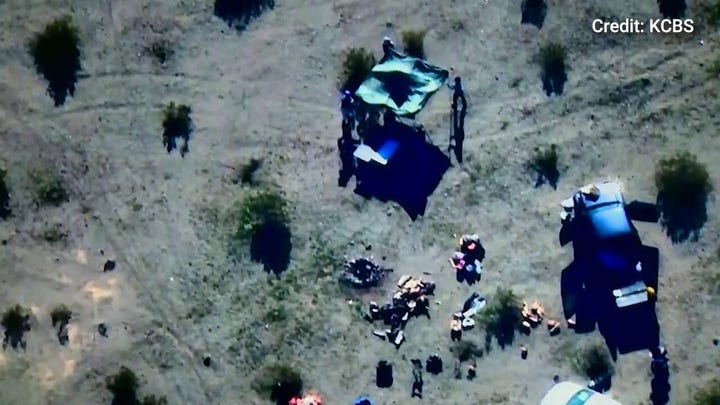 Las autoridades anuncian la detención de cuatro presuntos miembros de un grupo radical pro palestino.