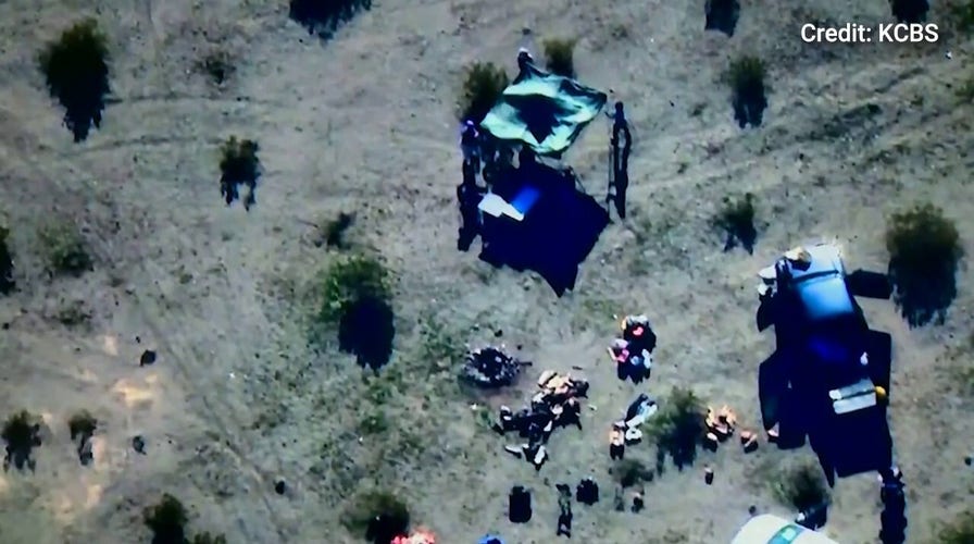 Authorities denote arrests of 4 alleged members of extremist pro-Palestinian group