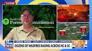 Nearly 200 wildfires rage across Carolinas burning thousands of acres - Fox News