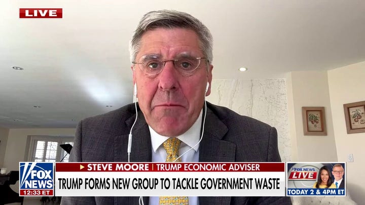 No hay dos personas mejores para dirigir DOGE que Vivek Ramaswamy y Elon Musk, dice un economista