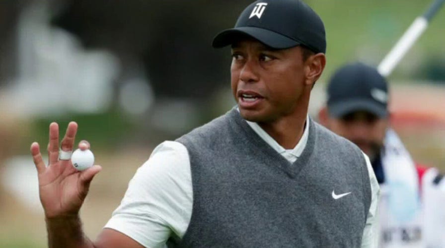 Tiger Woods suffers 'multiple leg injuries' in car crash, agent says