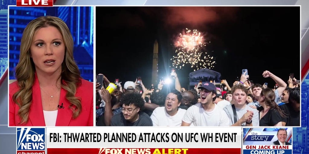 An Ohio mother may have saved the White House UFC Freedom 250 event from tragedy