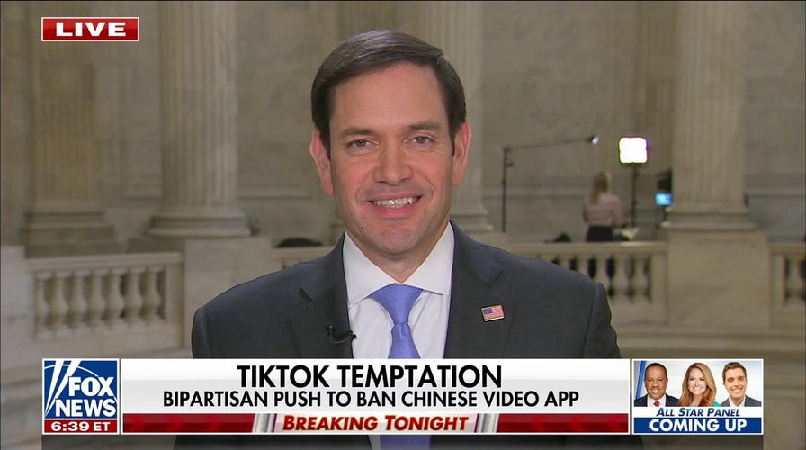 Sen. Marco Rubio: TikTok is a massive vulnerability