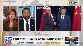 China vows to crack down on chemicals used to make fentanyl entering the US