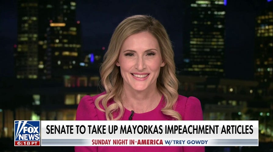 Mayorkas bears ultimate responsibility for his 'willful refusal' to follow the law: Rep. Laurel Lee