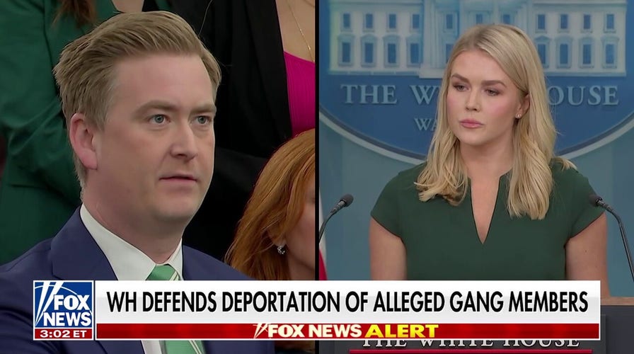 White House defends deportation of alleged gang members