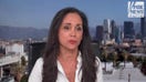 Top LA Republican dives into political reaction of ICE raids: 'Same emotional notes'
