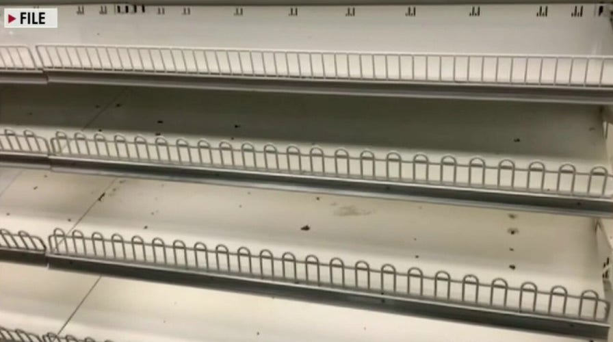 Goya Foods CEO slams Biden admin for downplaying supply chain crisis