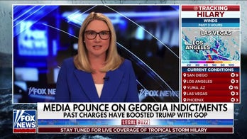 Trump raises less money every indictment, ‘story is not over’: Marie Harf