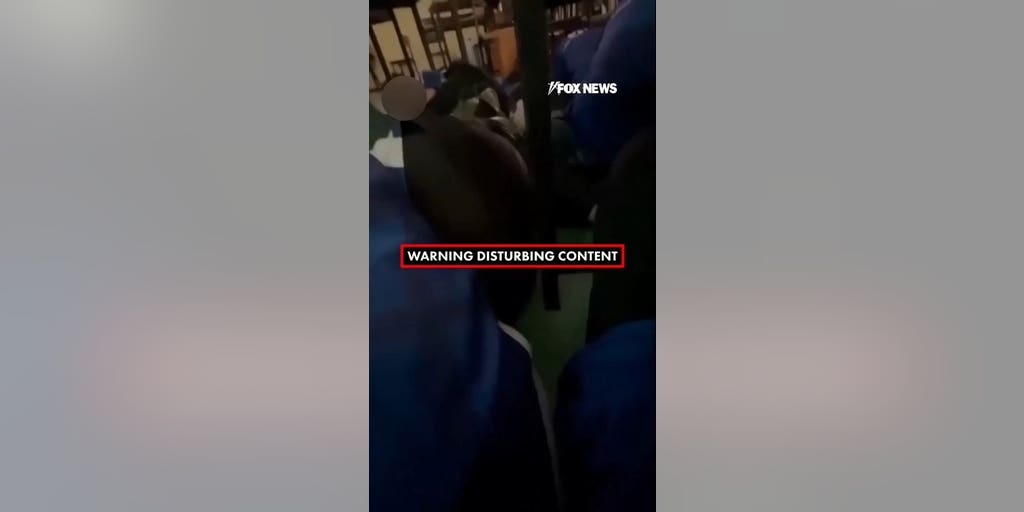 Students take cover as gunman opens fire at school