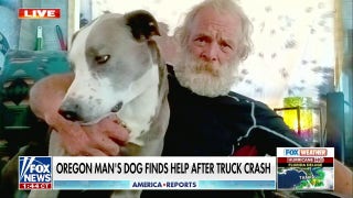 Dog runs four miles to get help for owner after truck goes off cliff   - Fox News