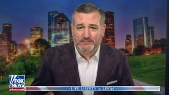 Ted Cruz slams into GOP for treating politics like 'it's a game of Croquet'