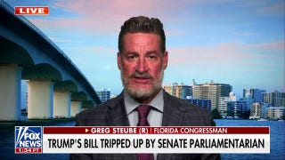 One unelected person shouldn't decide what stays in the 'big, beautiful bill,' Florida congressman says