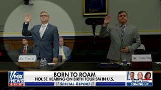 House panel holds hearing over birth tourism