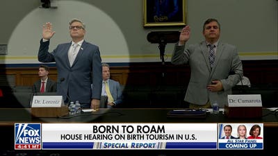 House panel holds hearing over birth tourism