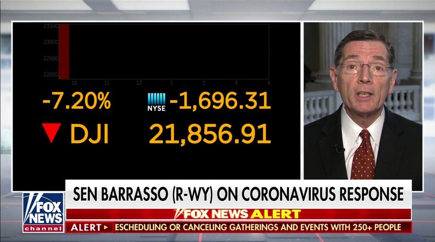 Sen. Barrasso on COVID-19 testing: CDC testing kits 'not there yet'