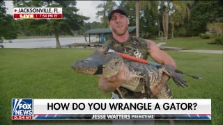 Veteran that wrestled 10-foot gator cautions residents: Get away as quick as you can - Fox News