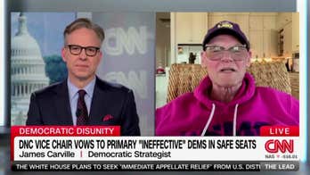 James Carville calls David Hogg's plan to primary 'ineffective' Dems the 'most insane thing' he's ever heard