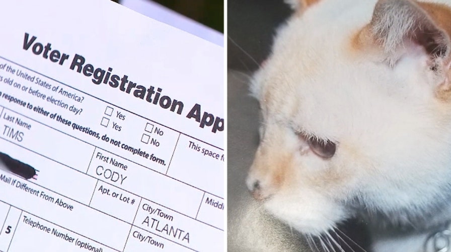 Deceased cat receives voter registration application in the mail
