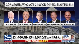 Rep. Brian Babin hopes fellow Republicans don't 'squander' opportunity to pass Trump's 'big, beautiful bill'