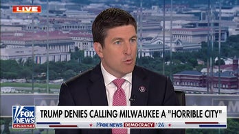  Rep. Bryan Steil: Trump did not disparage the city of Milwaukee