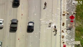 California highway clogged with hundreds of toilet paper rolls after mishap - Fox News