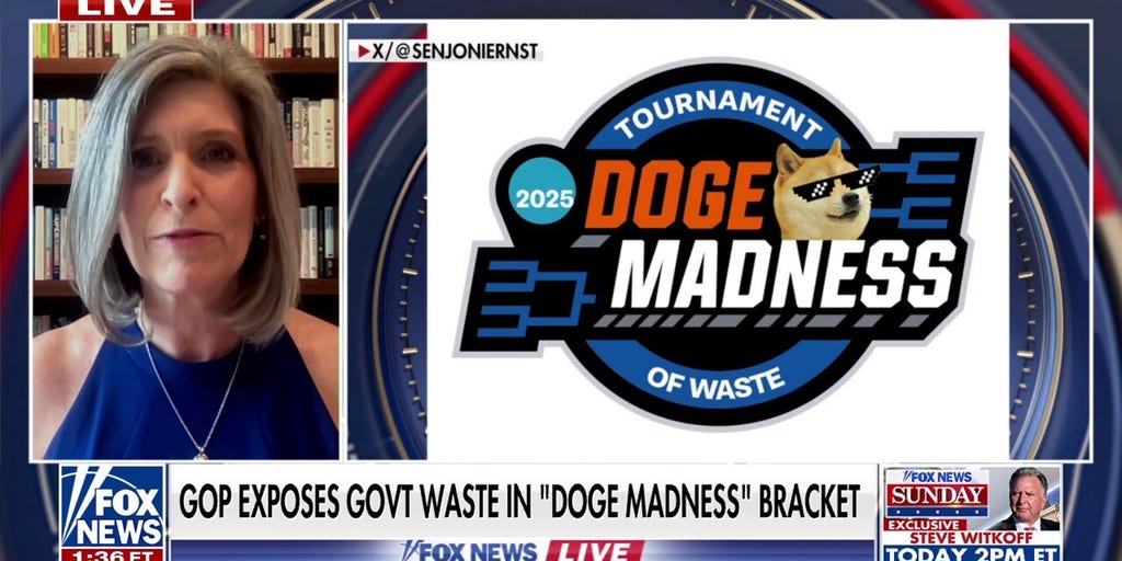 Sen. Ernst praises Trump admin for extradition of migrant to US: 'Absolutely elated'