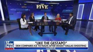 Democrats are 'slaughtering each other' daily: Jesse Watters - Fox News