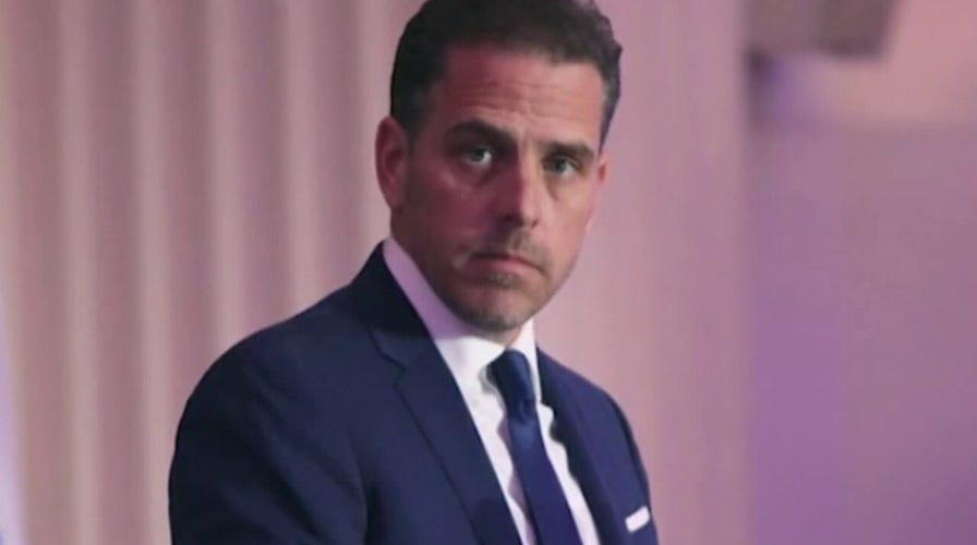 Ex-Obama ethics director blasts Hunter Biden's art sale plan