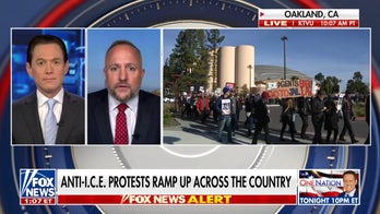 Minneapolis ICE shooting sparks debate over sanctuary city policies, ICE facility oversight