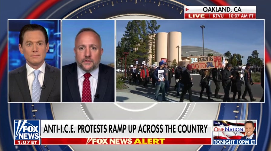 Minneapolis ICE shooting sparks debate over sanctuary city policies, ICE facility oversight