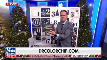 'Fox & Friends' Advent Calendar Day 16: Dr. ColorChip