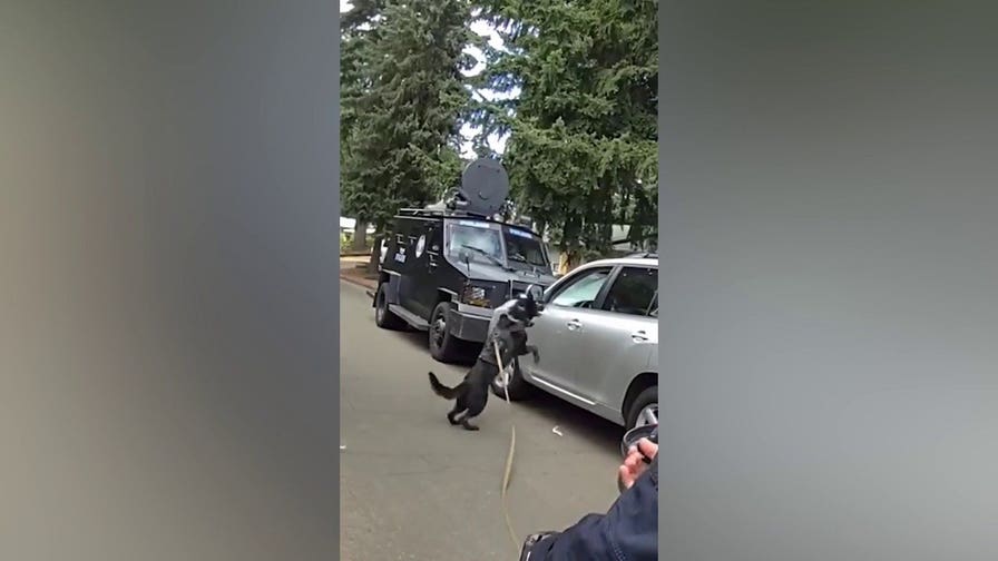Bodycam shows K-9 ending 40-minute standoff with suspected impaired driver
